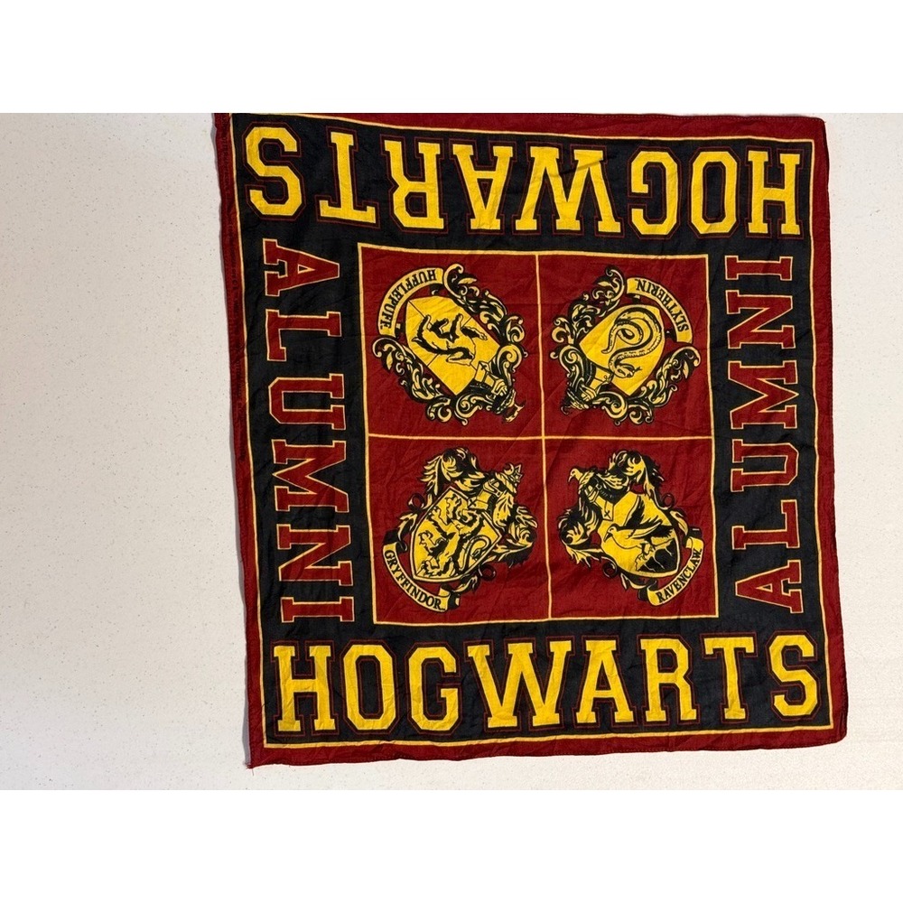 Harry Potter Bundle Tie Headband Earrings Socks Bandana Over $50 value - Picture 5 of 11